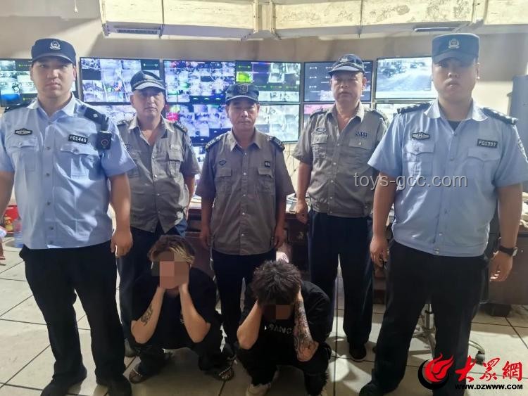 大厦保安高空索降盗窃亿元玉石：物业安保行业的警醒与挑战